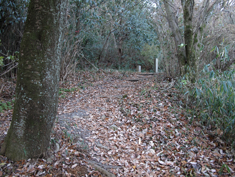 20131223hike (72)